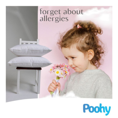 Goose down against allergies: The truth about healthy sleep