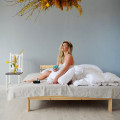 Silver Duo Hotel Pillow, 2 chambers, new white European duck down, 60% down, 50x70 cm, Firm and high, White 2